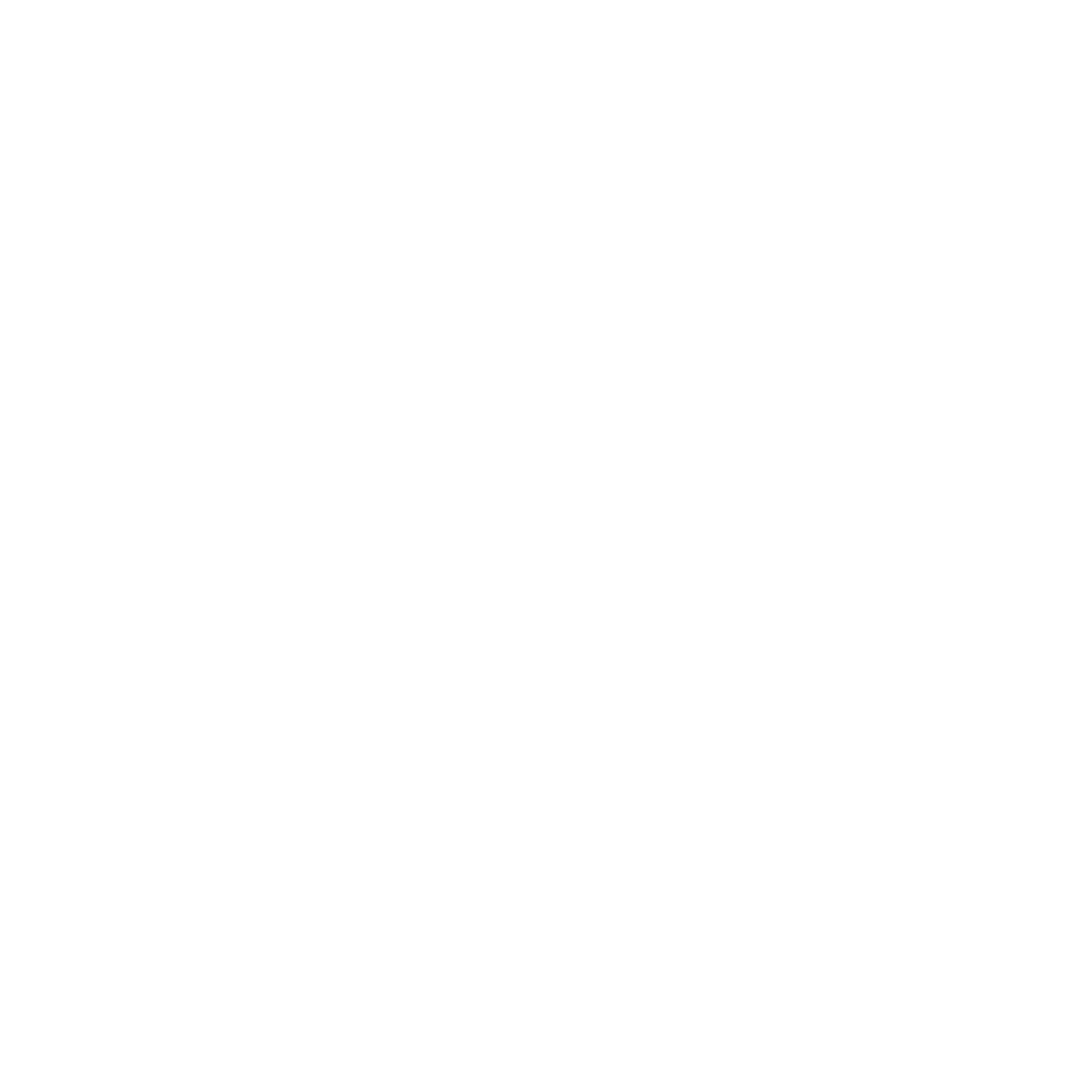 SM White Logo